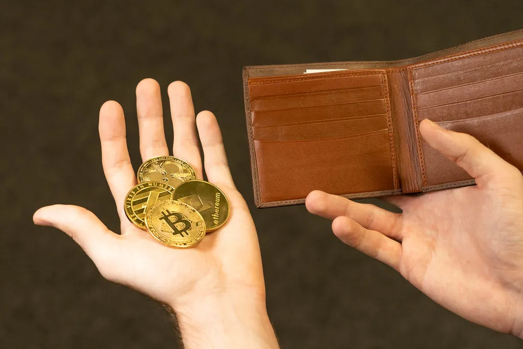 Understanding the basics of crypto wallet. Keep your coins safe 